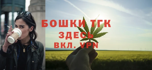тгк Медногорск
