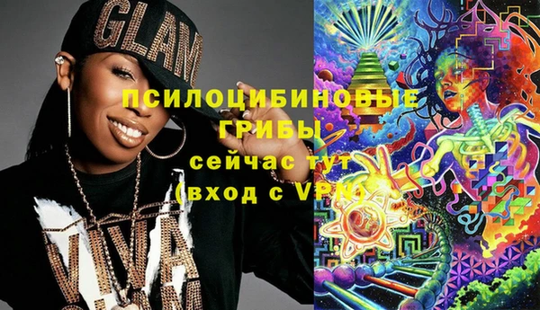 spice Мегион