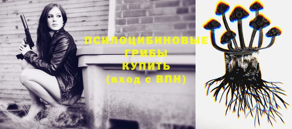 тгк Медногорск