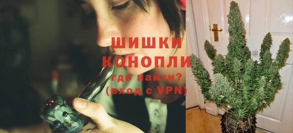 тгк Медногорск