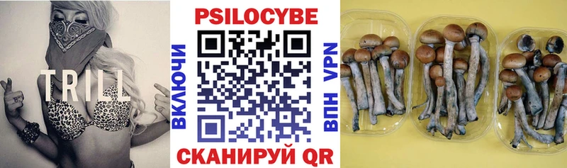 Галлюциногенные грибы Magic Shrooms  сколько стоит  Починок 