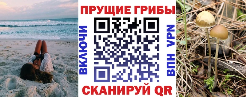 Псилоцибиновые грибы мицелий Починок